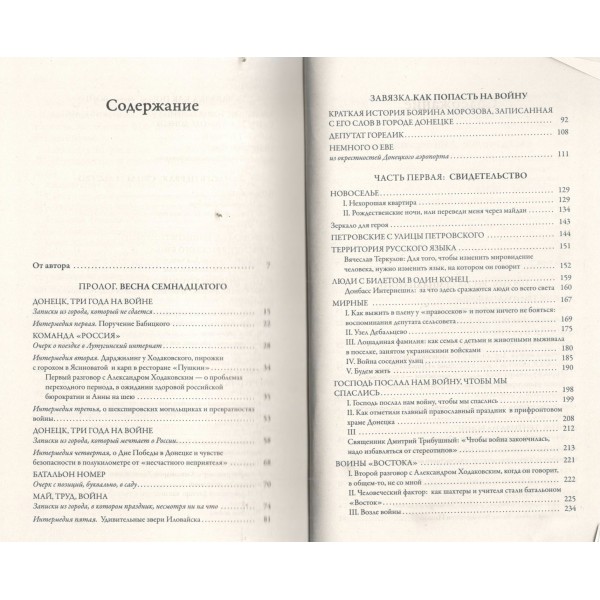 Русь милая, люблю тебя: Донбасс накануне спецоперации. Курчатова Н.М.