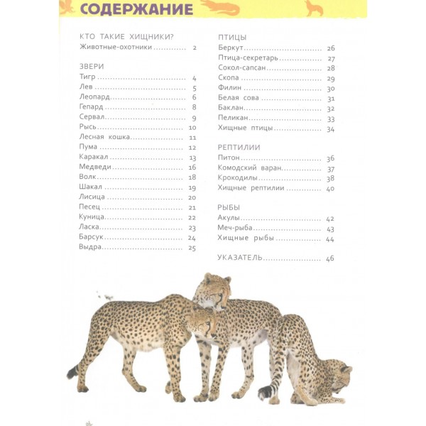 Дикие животные. Бабенко В.Г.