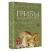 Грибы русского леса. Иллюстрированный определитель. Сергеева М.Н.