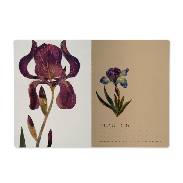 Тетрадь 60 листов В5 179х250 клетка Flora Ирисы матовая ламинация софт-тач, фольга золото, 70г/м2 7-60-001/30 Bruno Visconti 20/80