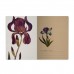 Тетрадь 60 листов В5 179х250 клетка Flora Ирисы матовая ламинация софт-тач, фольга золото, 70г/м2 7-60-001/30 Bruno Visconti 20/80