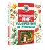 Окружающий мир. Растения и грибы. Энциклопедия. Сивоглазов В.И. АСТ
