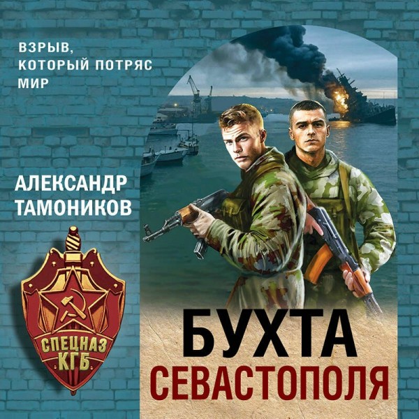 Бухта Севастополя. Тамоников А.А.