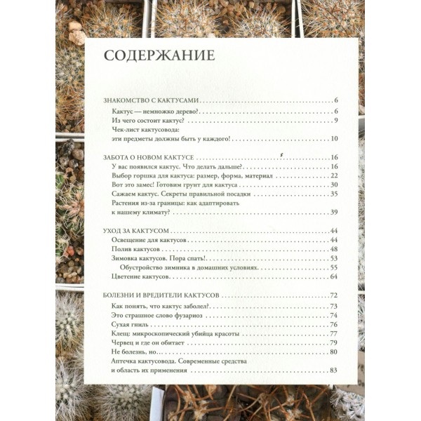 Кактусы. Колючая правда. Д. Пожарова Кактусы. Колючая правда. Д. Пожарова