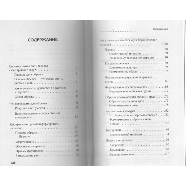 Искусство обрезки деревьев и кустарников для создания здорового и урожайного сада. Окунева И.Б. Искусство обрезки деревьев и кустарников для создания здорового и урожайного сада. Окунева И.Б.