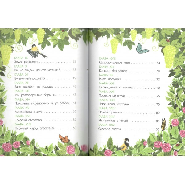 Тайна покинутого сада. Мультановская Д.В.