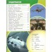 Беспилотники и другие автономные аппараты. Диплом в подарок. Борисова А.А