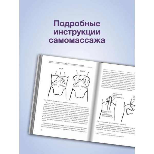 Висцералка. Техника самомассажа для восстановления организма. Самая полезная книга про живот. Кармацкий Т. Ю.