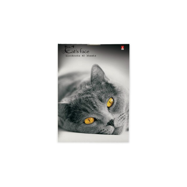 Блокнот 40 листов А7 клетка Кошки 3-40-519 Альт Блокнот 40 листов А7 клетка Кошки 3-40-519 Альт