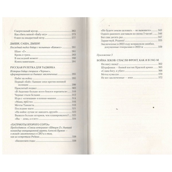 «Вагнер» и «Шторм Z»: из грязи в небо. Чертинов В.Н.