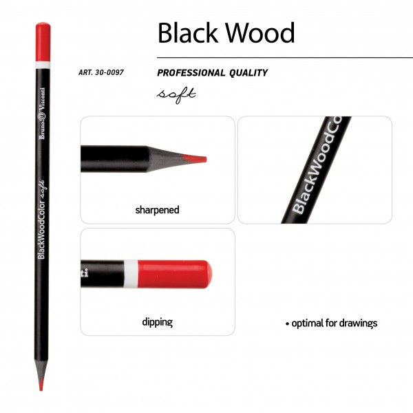 Карандаши цветные 12шт пластиковые BlackWoodColor 3-гранные ассорти 3 вида 30-0097 Bruno Visconti 12/120
