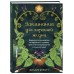 Заклинания для хорошей жизни. Ведьмовское руководство по переменам к лучшему, привлечению благополучия и созданию чудес. Ф. Куротт