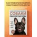 Собаки. Самые известные породы. Большая иллюстрированная энциклопедия. Коллектив Собаки. Самые известные породы. Большая иллюстрированная энциклопедия. Коллектив