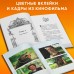 По щучьему велению. Официальная новеллизация. А. Антонова