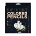 Карандаши цветные 24шт пластиковые BlackWoodColor 30-0099 Bruno Visconti 12/72