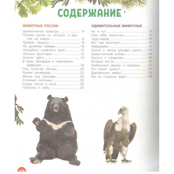 Животные. Лучшая детская энциклопедия. Гальцева С.Н.