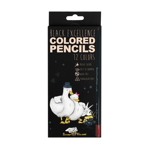 Карандаши цветные 12шт пластиковые BlackWoodColor 3-гранные ассорти 3 вида 30-0097 Bruno Visconti 12/120
