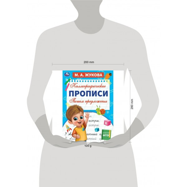 Каллиграфические прописи. Пишем предложения. А4. Жукова М.А.