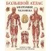 Большой атлас анатомии человека. Мягкая обложка. Е. Махиянова