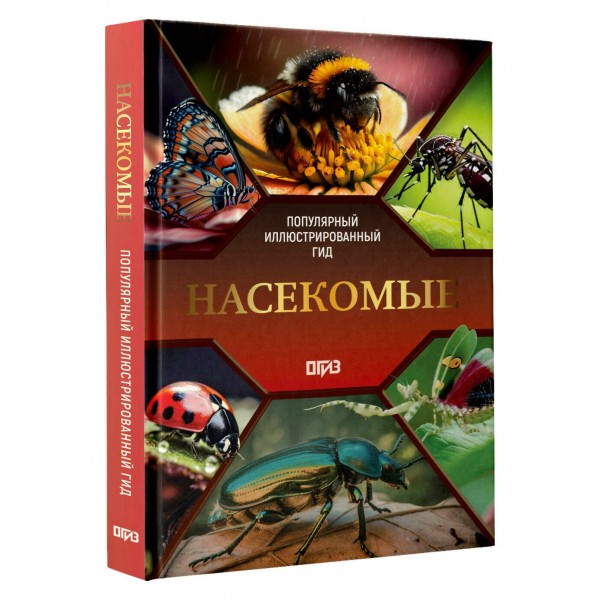 Насекомые. Иллюстрированный гид. Спектор А.А. Насекомые. Иллюстрированный гид. Спектор А.А.