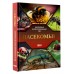 Насекомые. Иллюстрированный гид. Спектор А.А. Насекомые. Иллюстрированный гид. Спектор А.А.