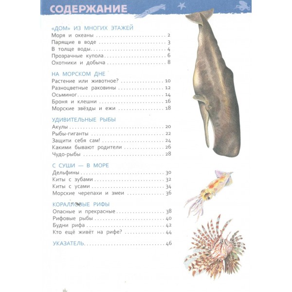 Подводный мир. Травина И.В.
