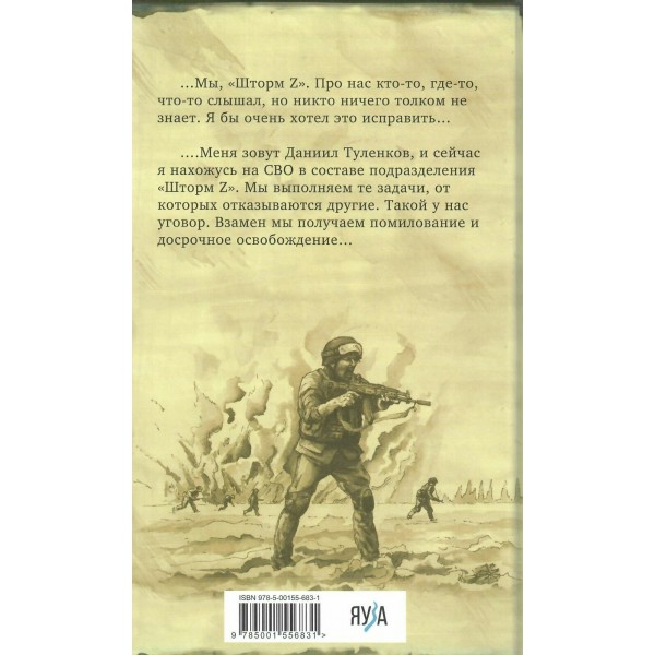 У нас нет других нас. Шторм Z. Туленков Д.Ю.