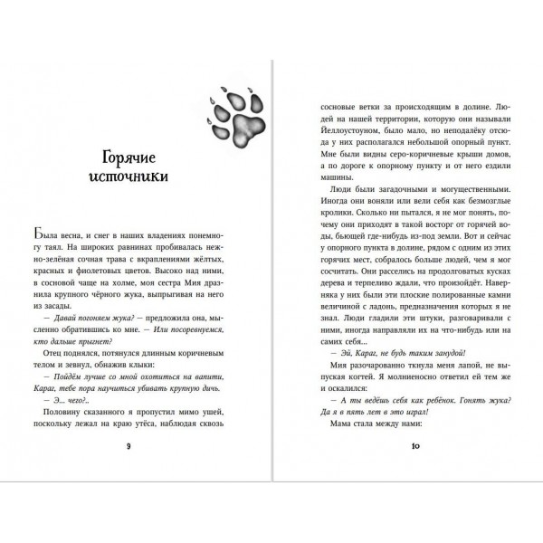Тайна Холли. Книга 3. К. Брандис