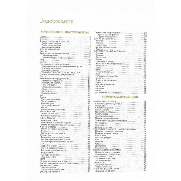 Техники рисования. Графит, цветные карандаши, уголь, пастель, тушь, сангина, восковые мелки, фломастеры и др.. Коллектив