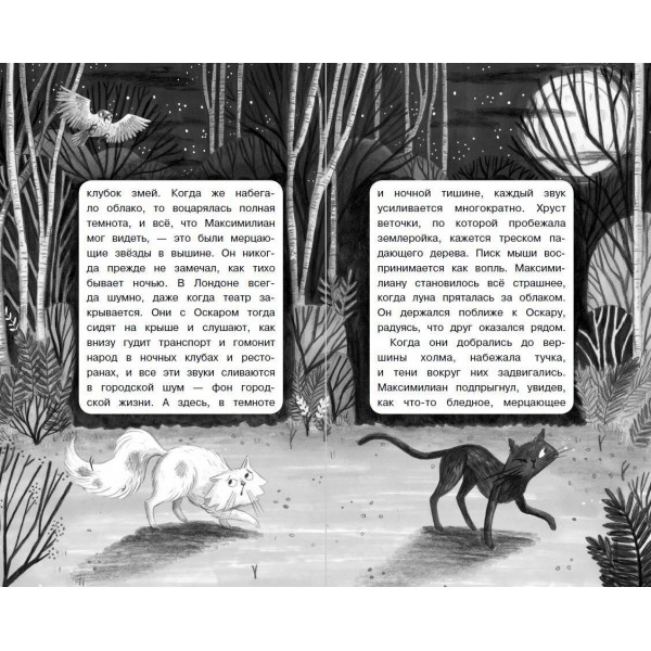 Портрет призрака. Книга 2. С. Тейлор