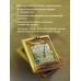 Капля духов в открытую рану. К. Качур