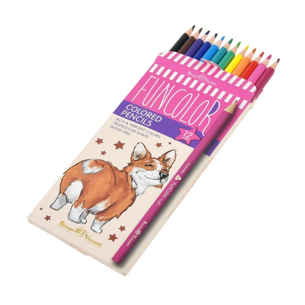 Карандаши цветные 12шт пластиковые FunColor 30-0060 Bruno Visconti 12/120