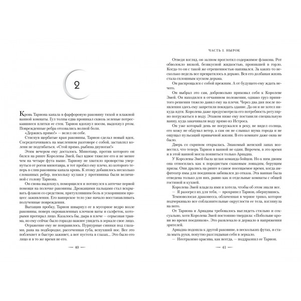 Город Полумесяца. Дом Пламени и Тени. С.Дж. Маас