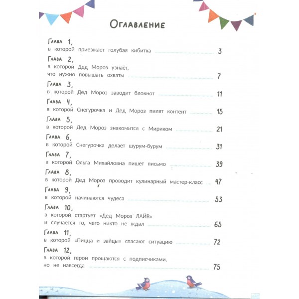 Чудо - блогер Дед Мороз. Минина Ю.Д.