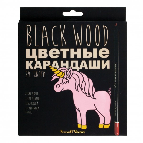 Карандаши цветные 24шт пластиковые BlackWoodColor 30-0099 Bruno Visconti 12/72