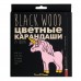 Карандаши цветные 24шт пластиковые BlackWoodColor 30-0099 Bruno Visconti 12/72
