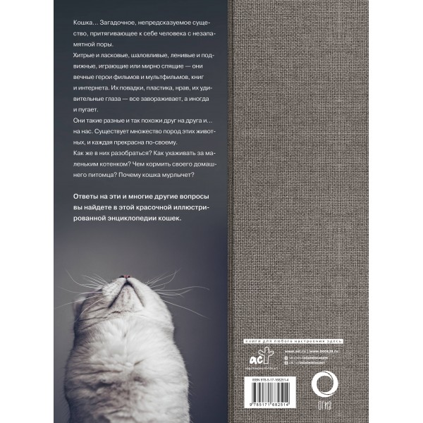Кошки. Непомнящий Н.Н.