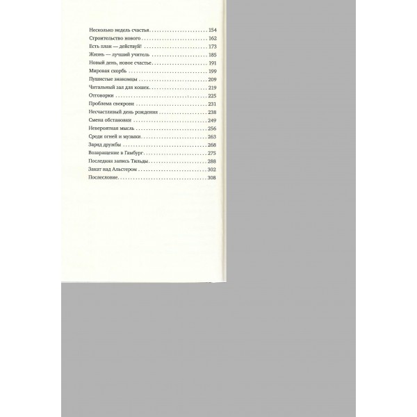 Дневник из антикварной лавки. Всегда есть шанс переписать свою жизнь. В. Гёкинг