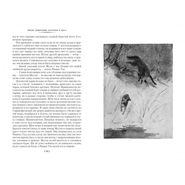 Рассказы о животных. Э. Сетон-Томпсон