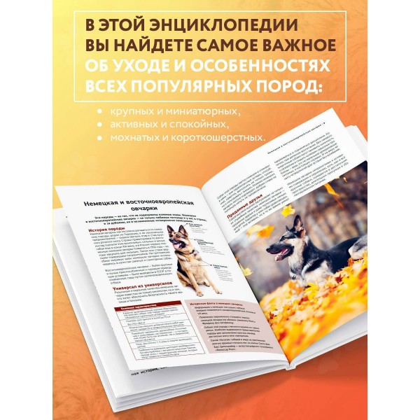 Собаки. Самые известные породы. Большая иллюстрированная энциклопедия. Коллектив Собаки. Самые известные породы. Большая иллюстрированная энциклопедия. Коллектив