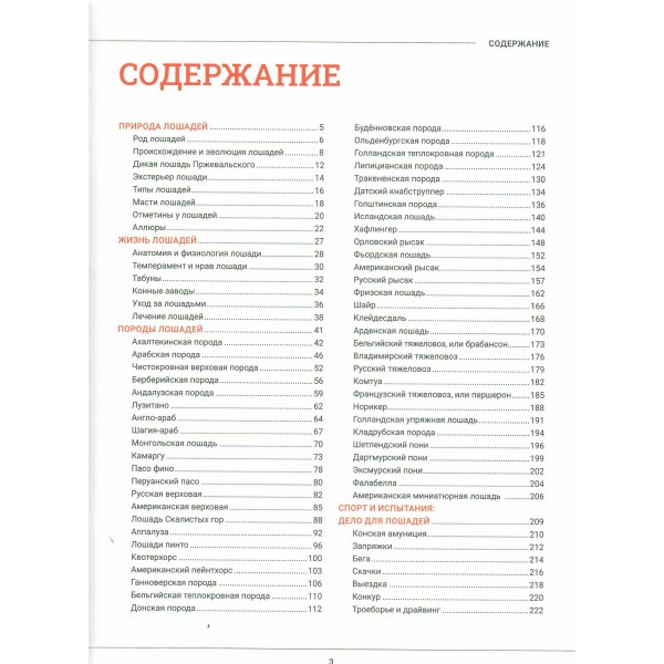 Лошади. Большая визуальная энциклопедия. Спектор А.А.