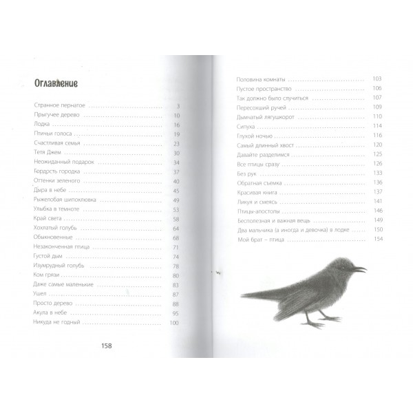 Птицы поют даже в хмурые дни. П. Карнавас