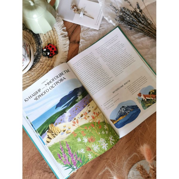 Острова России. А. Хворост