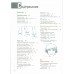 Учимся рисовать человеческие пропорции. К. Харт