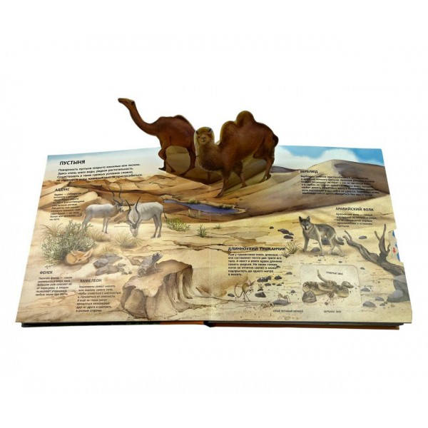 Животные. Большая наглядная 3D - энциклопедия. ред. Циркунова К.Н.