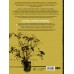 Техники рисования. Графит, цветные карандаши, уголь, пастель, тушь, сангина, восковые мелки, фломастеры и др.. Коллектив