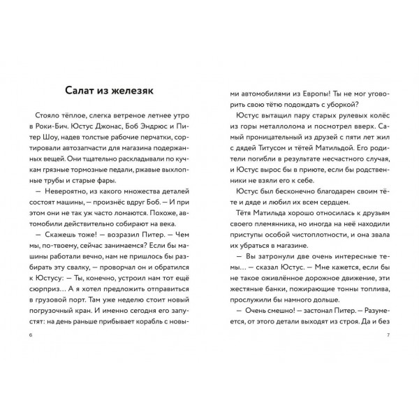 Три юных детектива. Турбогонка. Б. Пфайффер