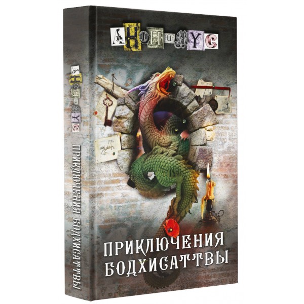 Приключения бодхисаттвы. Анонимус