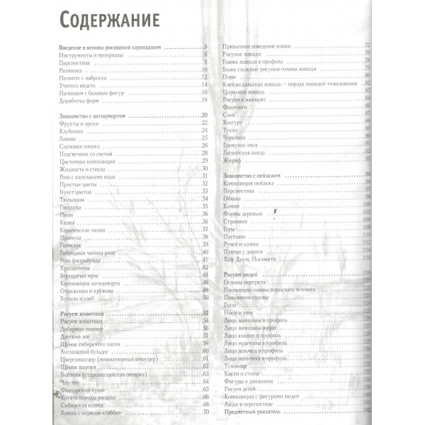 Основы рисования. Walter Foster