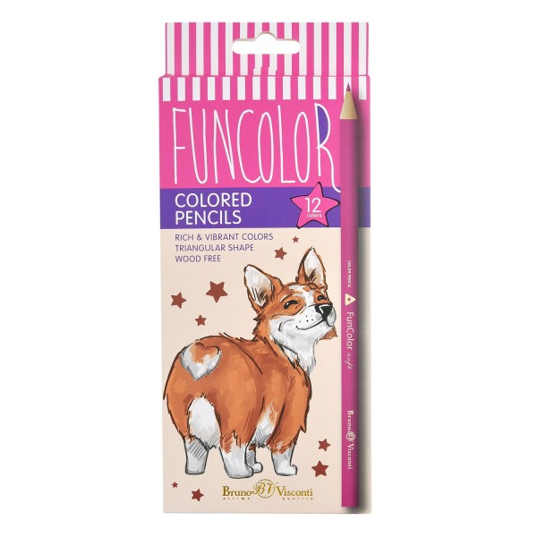 Карандаши цветные 12шт пластиковые FunColor 30-0060 Bruno Visconti 12/120